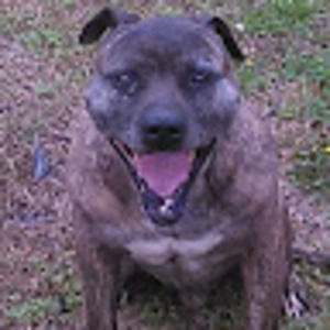 Meet your Posher, Terry